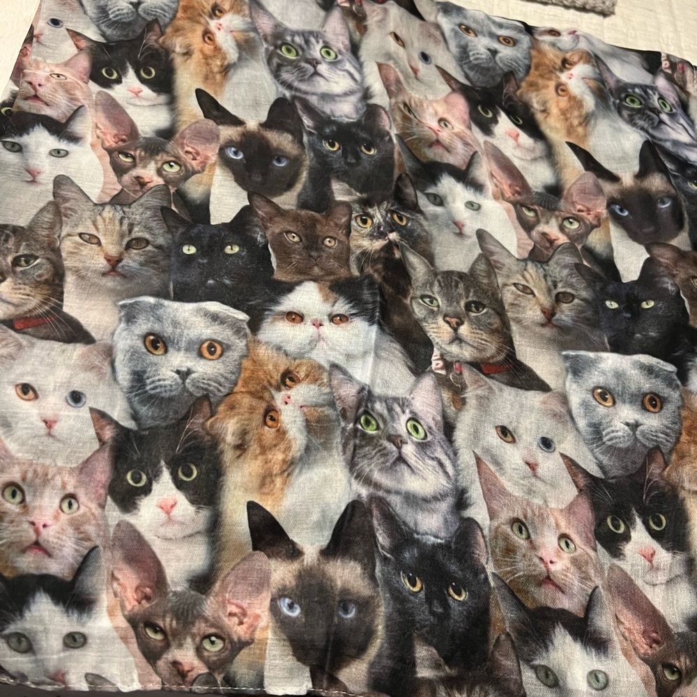 Women’s cat print lightweight scarf